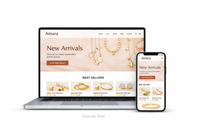 Custom E-Commerce Drop-Shipping Store - SR Solutions